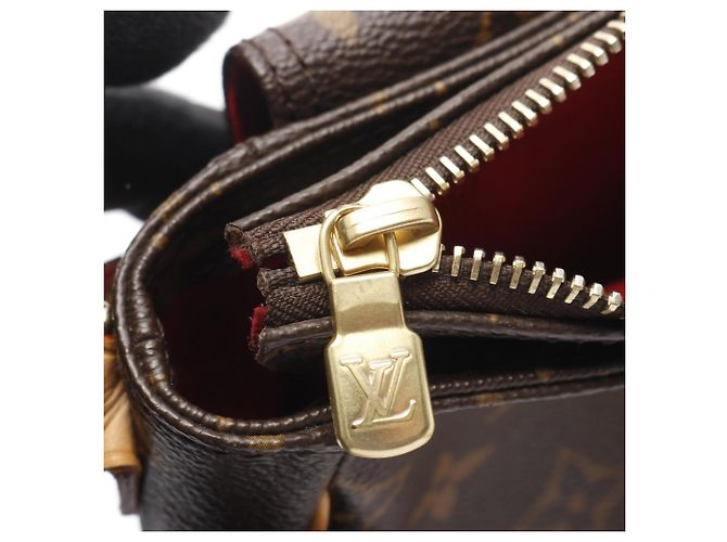 Borsa a Spalla Monogram Viva Cite PM di Louis Vuitton Marrone - vista 6