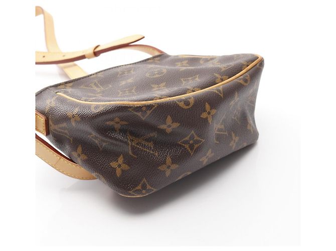 Borsa a Spalla Monogram Viva Cite PM di Louis Vuitton Marrone - vista 9