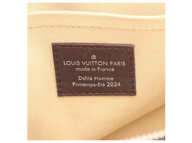 Borsa Louis Vuitton Alma 25 Henry Taylor Marrone Multicolore - vista 4