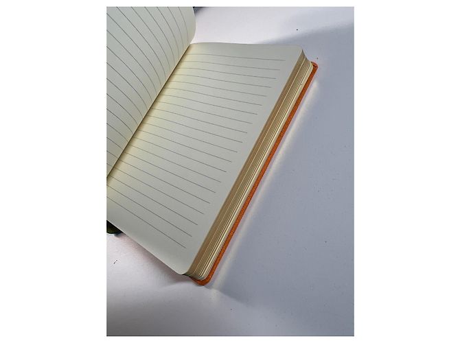 Carnet Ralph Lauren Orange - vue 8