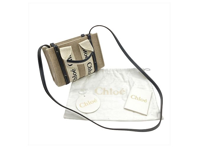 Borsa a Spalla WOODY MINI di Chloé Beige - vista 11