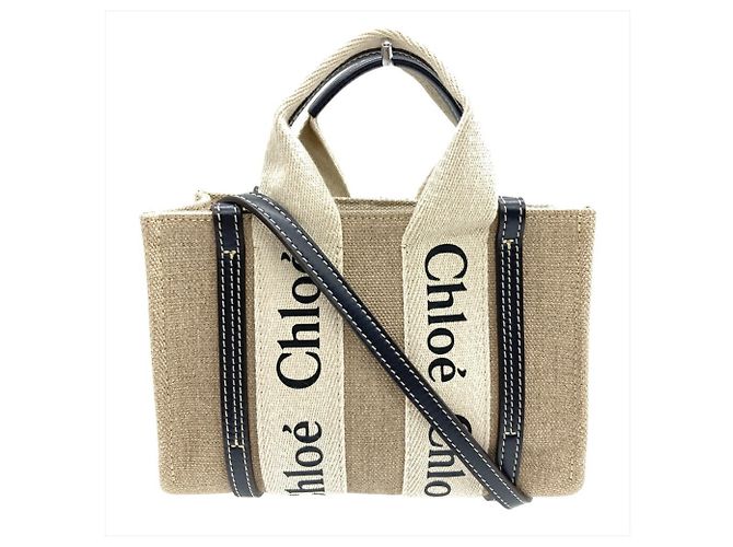 Borsa a Spalla WOODY MINI di Chloé Beige - vista 2