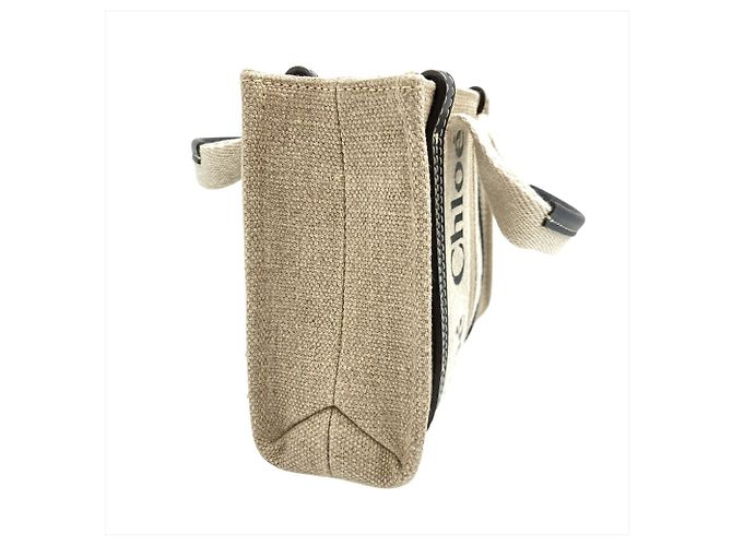 Borsa a Spalla WOODY MINI di Chloé Beige - vista 5