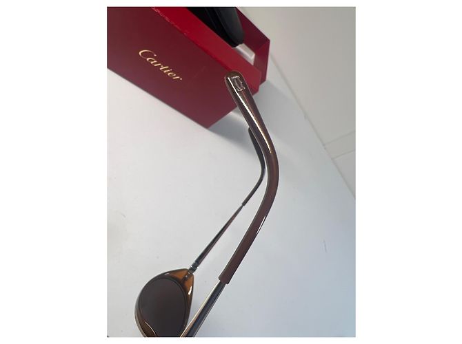 Gafas de sol Cartier Aspen marrones lentes ovaladas Castaño - vista 13