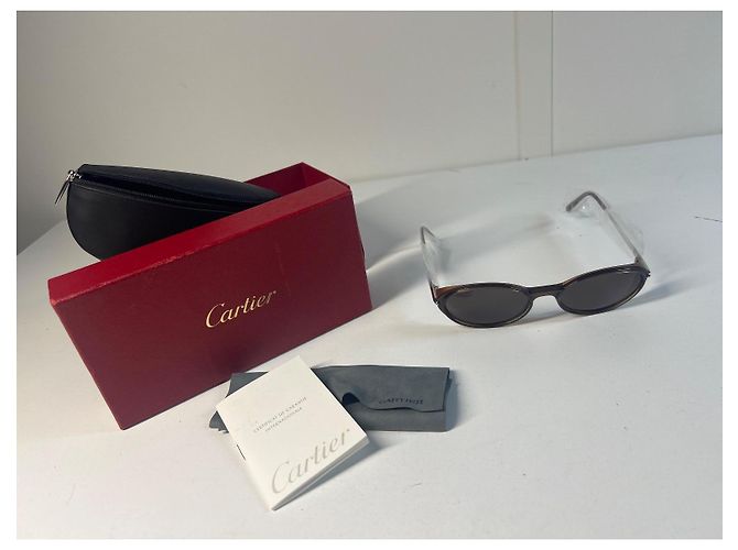 Gafas de sol Cartier Aspen marrones lentes ovaladas Castaño - vista 2