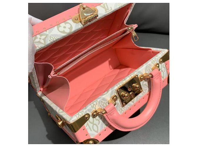 Louis Vuitton Dal 1854 Borsa a Mano Jacquard Rosa e Bianca Bleeker Box Bianco - vista 9