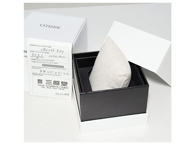 Autre Marque CITIZEN Serie 8 Edelstahl Mechanisch Braun - Ansicht 3