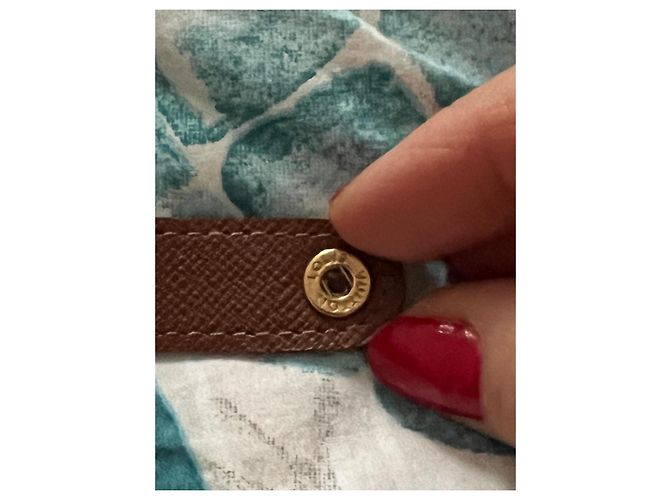 Louis Vuitton Purses, wallets, cases Brown - view 7