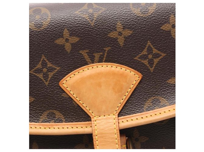 Borsa a Spalla Sologne Monogram Louis Vuitton Marrone Monogramma - vista 6