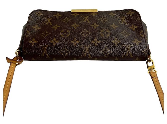 Borsa 2 in 1 Monogram Favorite di Louis Vuitton Marrone - vista 5