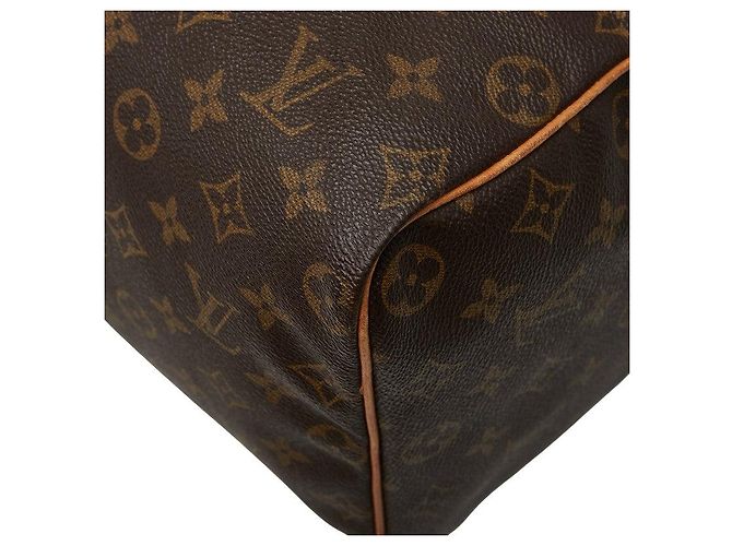 Speedy Borsa a mano Monogram Louis Vuitton Marrone - vista 4