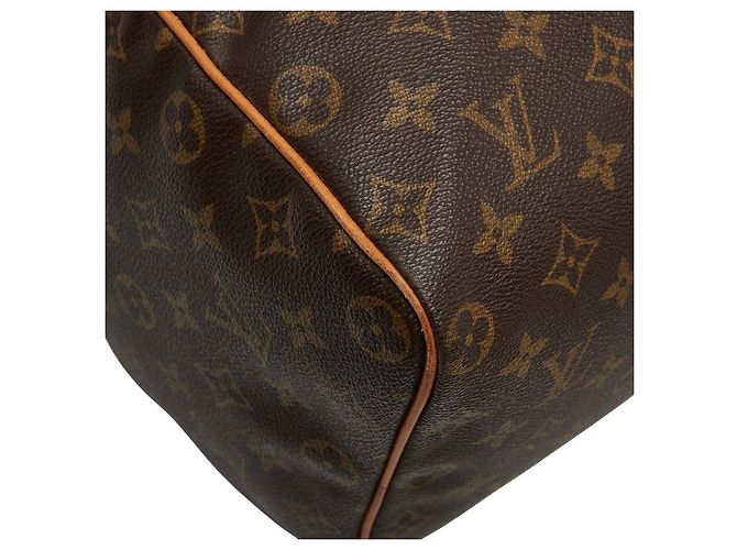 Speedy Borsa a mano Monogram Louis Vuitton Marrone - vista 5