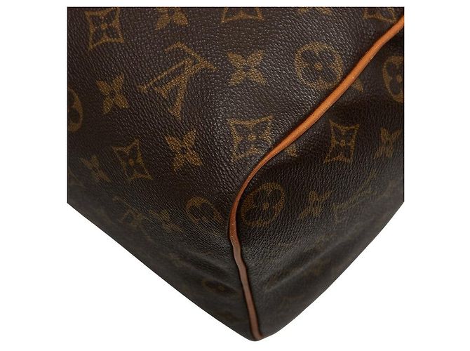 Speedy Borsa a mano Monogram Louis Vuitton Marrone - vista 6