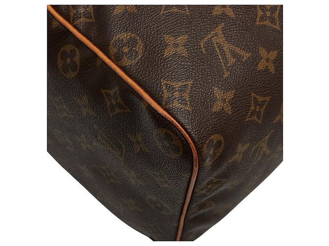 Speedy Borsa a mano Monogram Louis Vuitton Marrone - vista 7