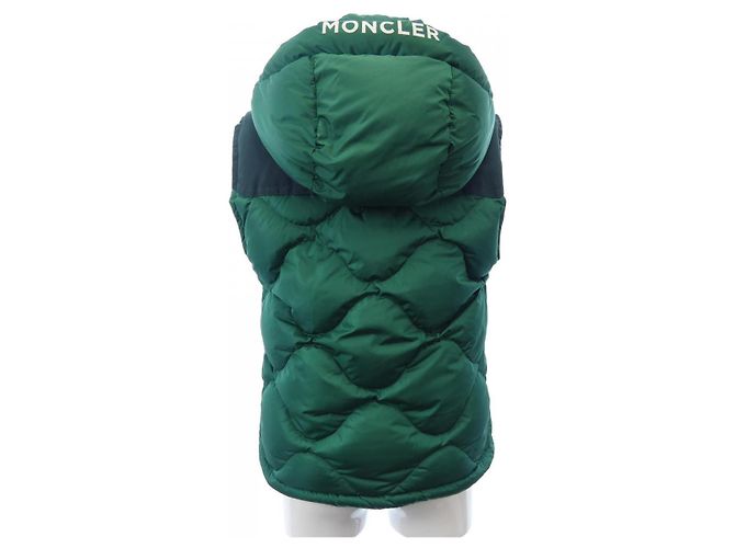 Chaqueta de plumas Moncler ARLES Verde - vista 10