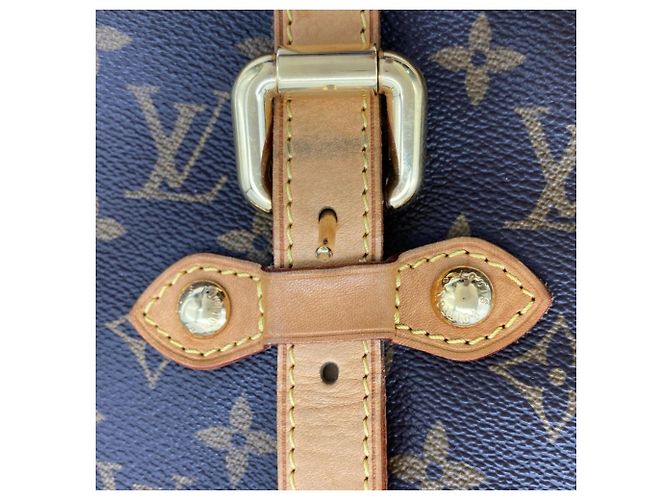 Borsa Tote Palermo GM di Louis Vuitton Marrone - vista 8
