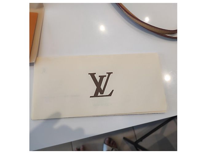 Louis Vuitton NEVERFULL MM COM PASTA Chocolate - vista 11