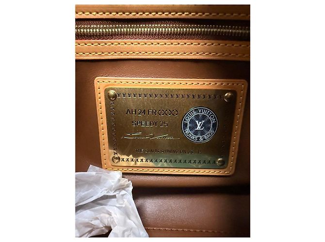 Louis Vuitton Speedy P9 Bandoliera 25 Blu Blu chiaro - vista 3