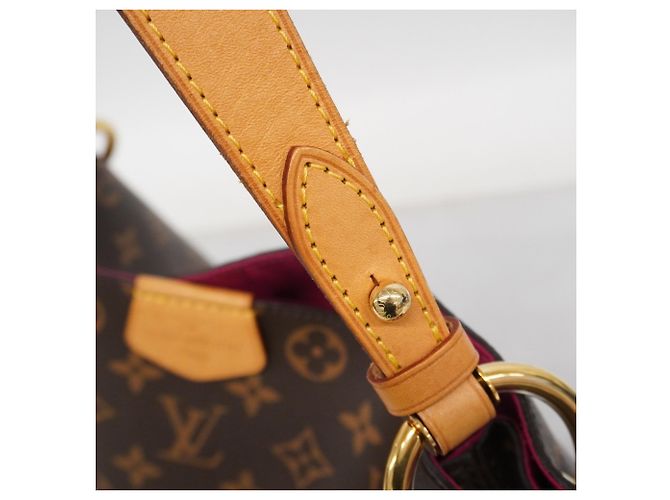 Borsa a Spalla Graceful PM Monogramma Louis Vuitton Marrone Rosa - vista 10