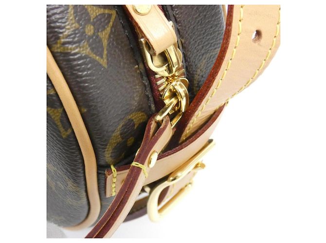 Borsa a Spalla Boite Chapeau Souple PM Monogramma Louis Vuitton Marrone - vista 4
