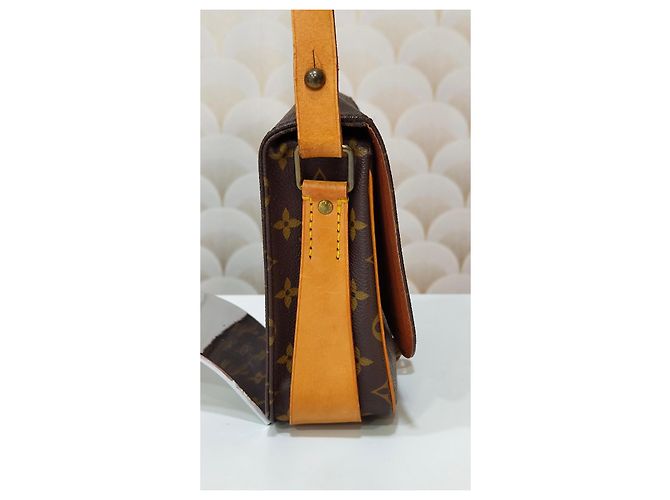 Louis Vuitton Cartouchière Monogram Tela Marrone - vista 13