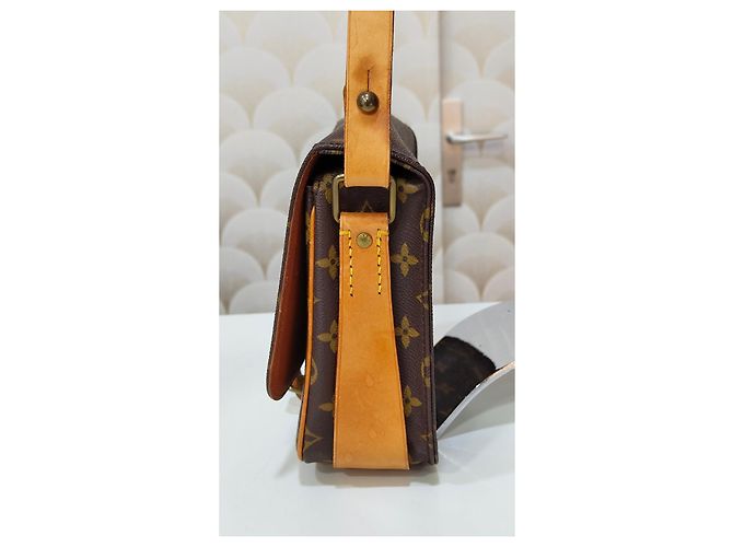 Louis Vuitton Cartouchière Monogram Tela Marrone - vista 14