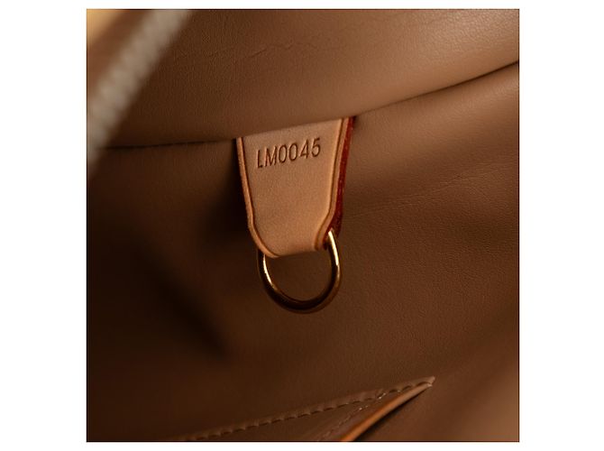 Louis Vuitton Beige Monogram Vernis Houston - vista 6