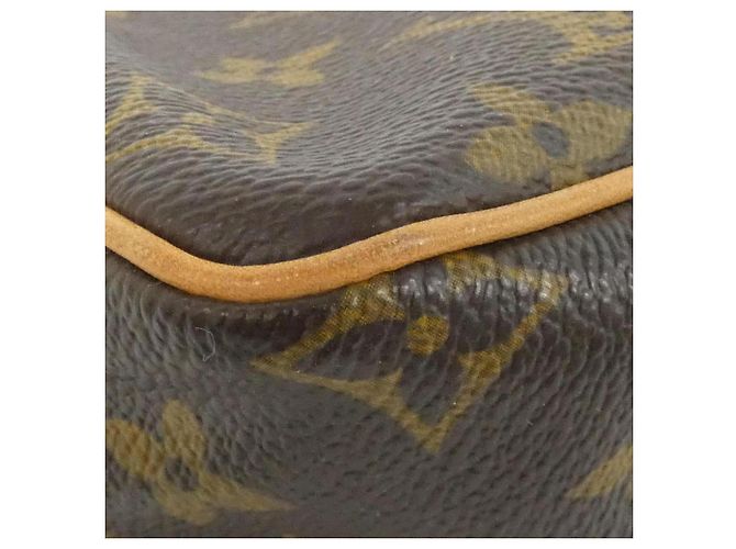 Borsa a Spalla Monogram Viva Cite PM di Louis Vuitton Marrone - vista 3