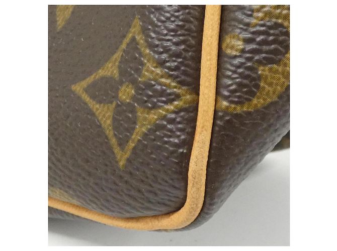 Borsa a Spalla Monogram Viva Cite PM di Louis Vuitton Marrone - vista 4