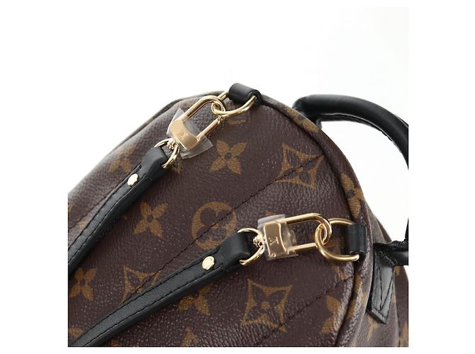 LOUIS VUITTON Schultertasche Palm Springs Monogram World Tour M42971 Auth 135119M Monogramm - Ansicht 21