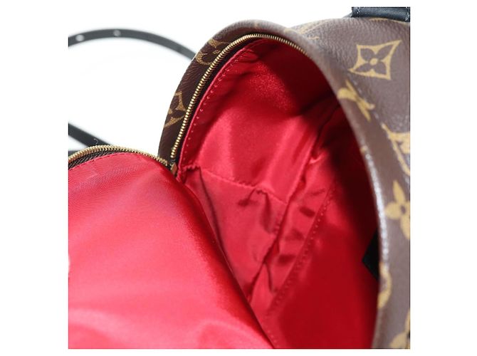 LOUIS VUITTON Schultertasche Palm Springs Monogram World Tour M42971 Auth 135119M Monogramm - Ansicht 28