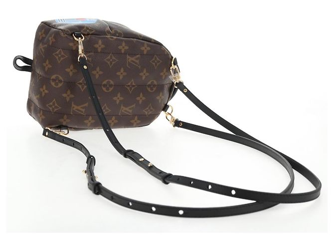 LOUIS VUITTON Schultertasche Palm Springs Monogram World Tour M42971 Auth 135119M Monogramm - Ansicht 8