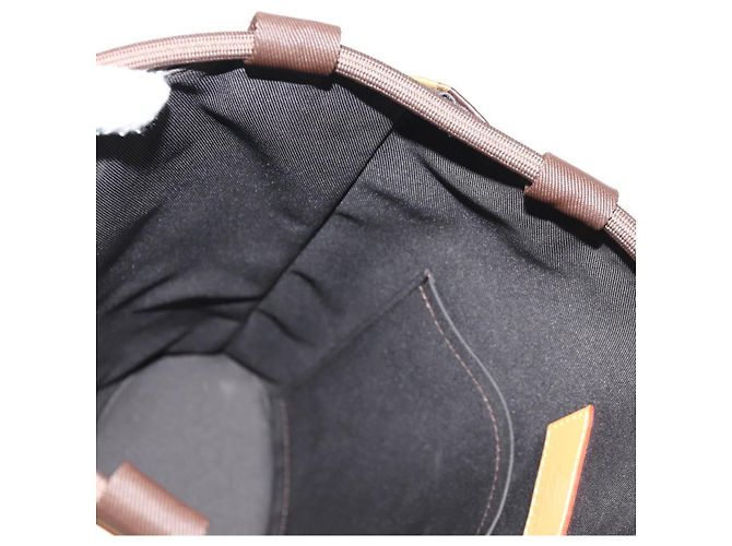 LOUIS VUITTON Borsa Messenger Randonnee Eclipse Stripe LVxNIGO M45968 Auth 148521M Monogramma - vista 21