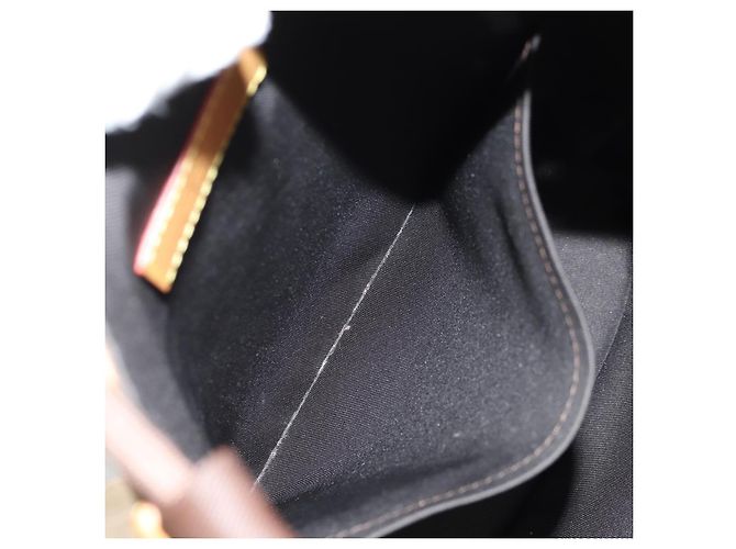 LOUIS VUITTON Borsa Messenger Randonnee Eclipse Stripe LVxNIGO M45968 Auth 148521M Monogramma - vista 23