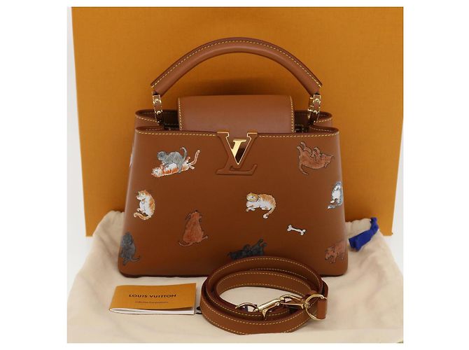 LOUIS VUITTON Catgram Capsine BB Borsa a Mano 2way Marrone M53185 LV Auth 42827SM - vista 12
