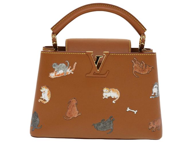 LOUIS VUITTON Catgram Capsine BB Borsa a Mano 2way Marrone M53185 LV Auth 42827SM - vista 13
