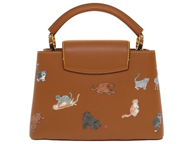 LOUIS VUITTON Catgram Capsine BB Borsa a Mano 2way Marrone M53185 LV Auth 42827SM - vista 2