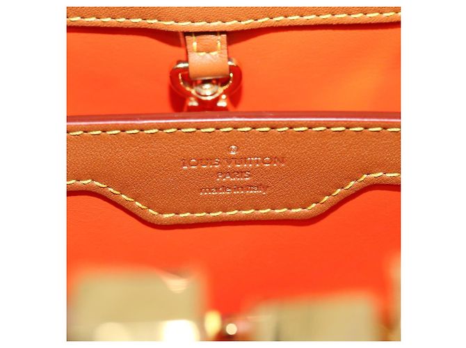 LOUIS VUITTON Catgram Capsine BB Borsa a Mano 2way Marrone M53185 LV Auth 42827SM - vista 20