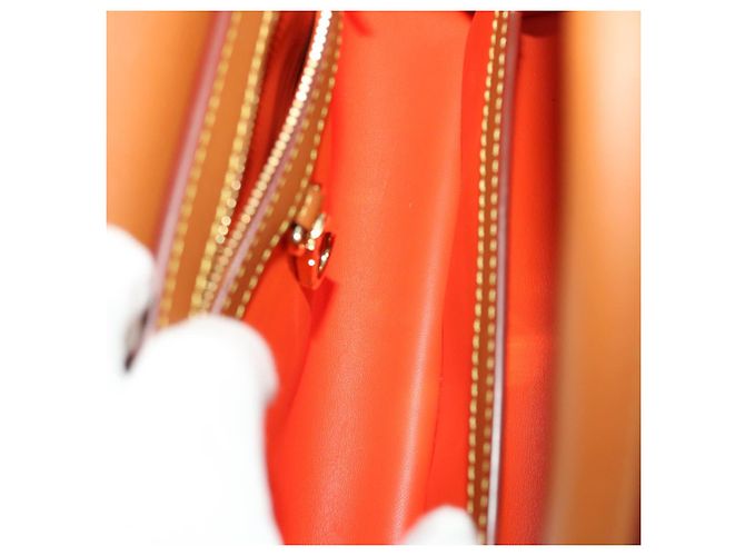 LOUIS VUITTON Catgram Capsine BB Borsa a Mano 2way Marrone M53185 LV Auth 42827SM - vista 21