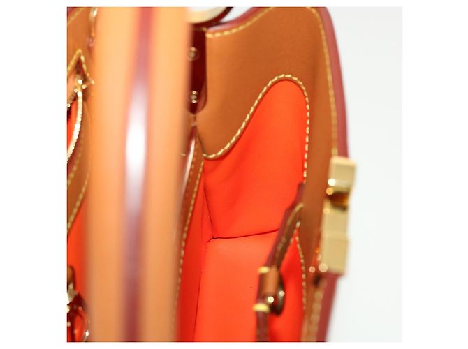 LOUIS VUITTON Catgram Capsine BB Borsa a Mano 2way Marrone M53185 LV Auth 42827SM - vista 22