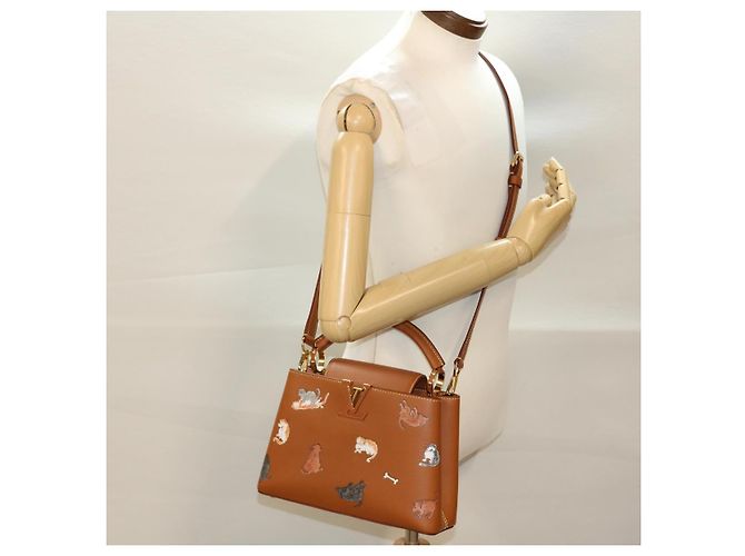 LOUIS VUITTON Catgram Capsine BB Borsa a Mano 2way Marrone M53185 LV Auth 42827SM - vista 26