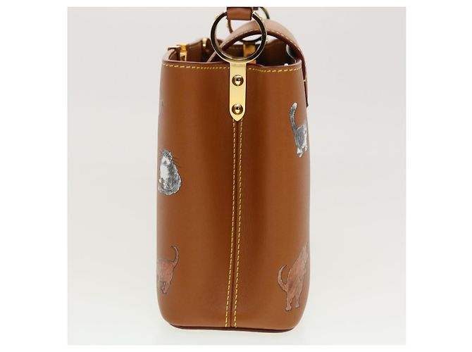 LOUIS VUITTON Catgram Capsine BB Borsa a Mano 2way Marrone M53185 LV Auth 42827SM - vista 3