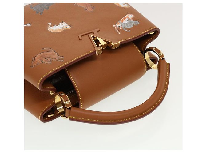 LOUIS VUITTON Catgram Capsine BB Borsa a Mano 2way Marrone M53185 LV Auth 42827SM - vista 6