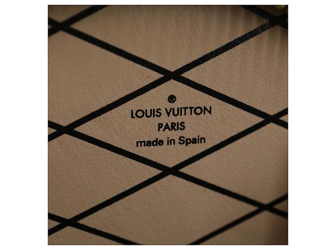 LOUIS VUITTON Catgram Cadena Micro Powat Sombrero Monedero M63886 LV Auth 47211SM Monograma - vista 19