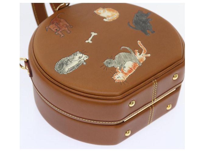 LOUIS VUITTON Catgram Petite Boite Chapeau Borsa a Spalla Marrone M52972 Auth 52543SM - vista 15