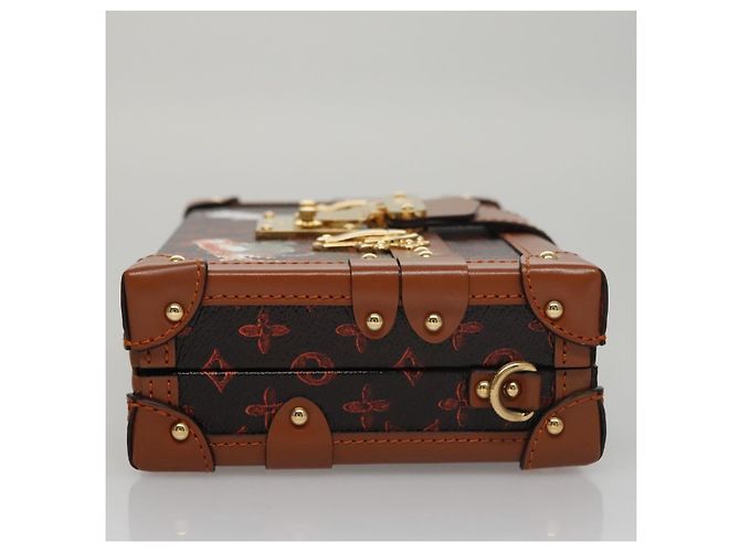 LOUIS VUITTON Catgram Petit Maru NM Borsa a Spalla M44407 LV Auth 105481SM Monogramma - vista 3