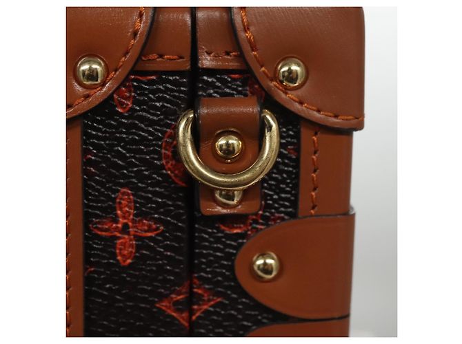 LOUIS VUITTON Catgram Petit Maru NM Borsa a Spalla M44407 LV Auth 105481SM Monogramma - vista 8
