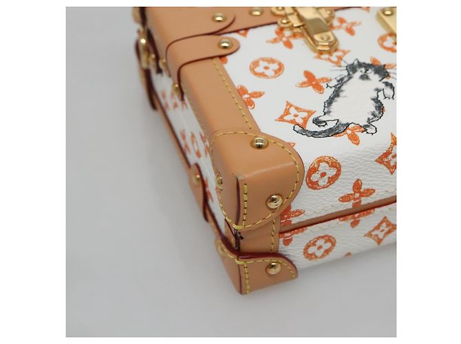 LOUIS VUITTON Catgram Petit Maru NM Borsa a Spalla Bianca LV Auth 110163SM Bianco - vista 14