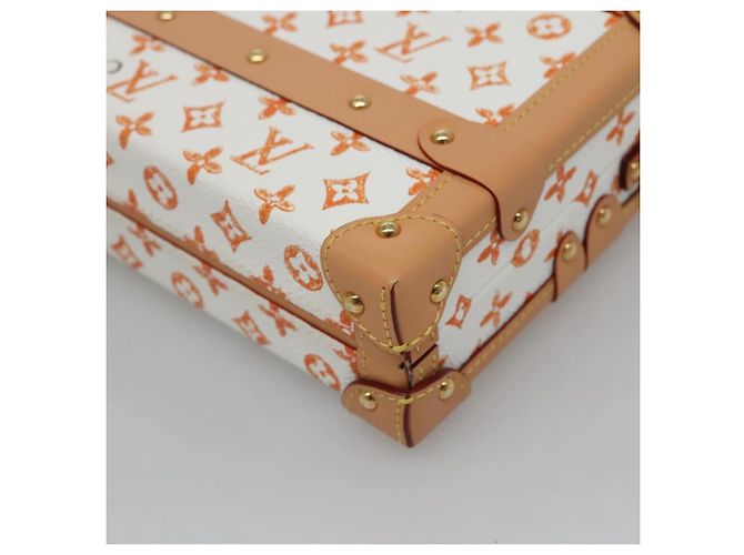 LOUIS VUITTON Catgram Petit Maru NM Borsa a Spalla Bianca LV Auth 110163SM Bianco - vista 15