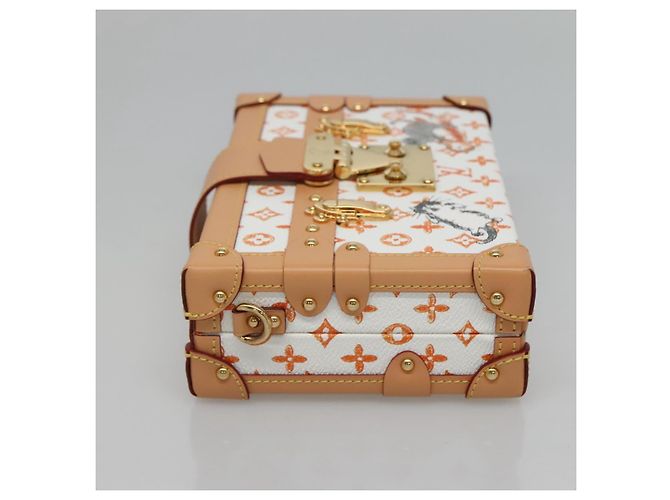 LOUIS VUITTON Catgram Petit Maru NM Borsa a Spalla Bianca LV Auth 110163SM Bianco - vista 3